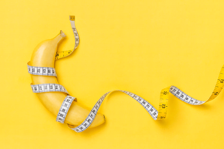 The average size of the penis is in erection - 13.12 cm